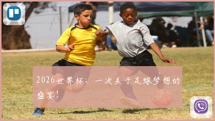 2026世界杯,一次关于足球梦想的盛宴!